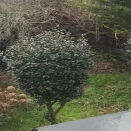 Superba Casa Per Le Vacanze Con Piscina Privata Aosta Valley * Étroubles
